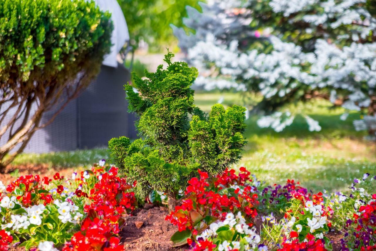 Garden paradise App Sveti Vid-Miholjice Bagian luar foto